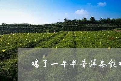 喝了一年半普洱茶能喝吗/2023103161693