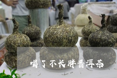 喝了不长胖普洱茶/2023120477056