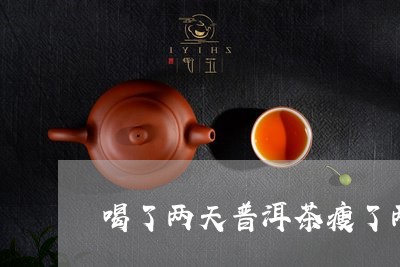 喝了两天普洱茶瘦了两斤正常吗/2023082600691