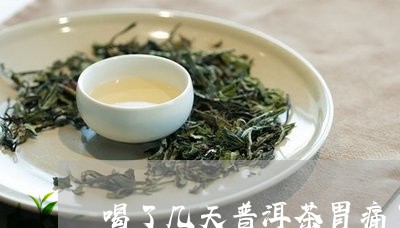 喝了几天普洱茶胃痛了/2023100573925