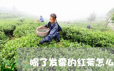 喝了发霉的红茶怎么办/2023060848491