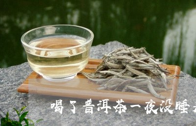 喝了普洱茶一夜没睡着/2023092741793