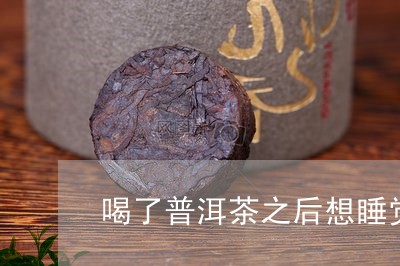 喝了普洱茶之后想睡觉/2023073106462