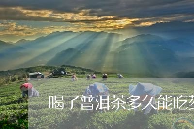 喝了普洱茶多久能吃药/2023062771735