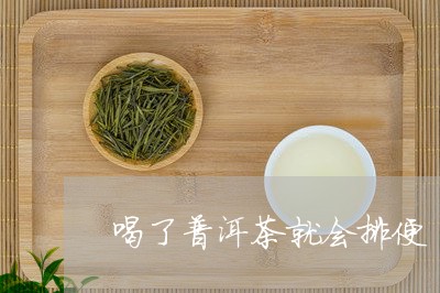 喝了普洱茶就会排便/2023091461837