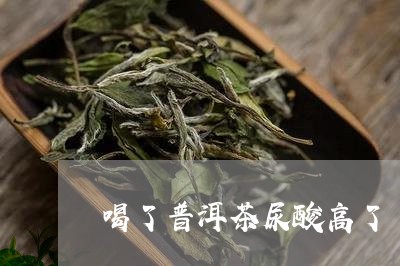 喝了普洱茶尿酸高了/2023110584058