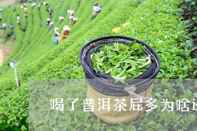 喝了普洱茶屁多为啥还臭/2023082712705