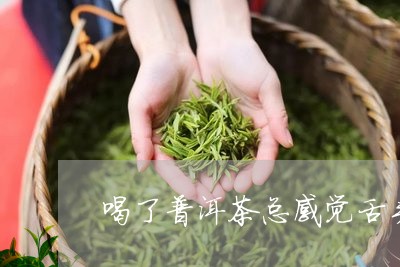 喝了普洱茶总感觉舌头有啥似的/2023110380703