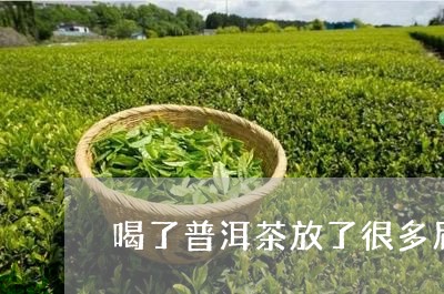 喝了普洱茶放了很多屁/2023062588471