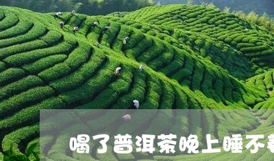 喝了普洱茶晚上睡不着/2023062400936