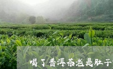 喝了普洱茶老是肚子饿/2023062258373