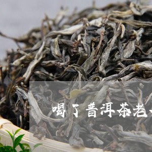 喝了普洱茶老茶头很饿是咋回事/2023082950725