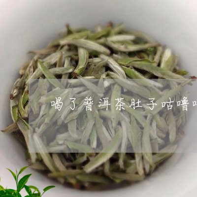 喝了普洱茶肚子咕噜噜/2023092844826