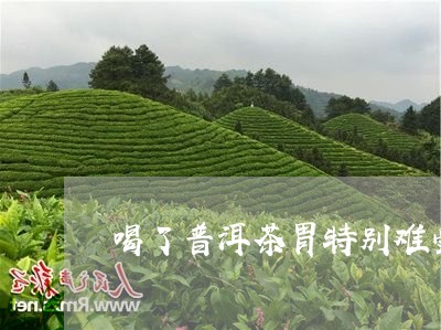 喝了普洱茶胃特别难受/2023100643836