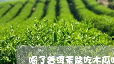 喝了普洱茶能吃木瓜吗/2023100673827