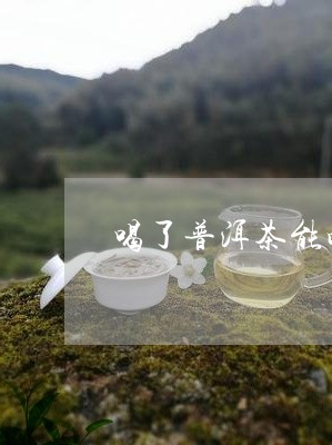 喝了普洱茶能吃补药吗吗/2023122687161