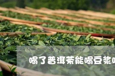 喝了普洱茶能喝豆浆吗/2023072425059