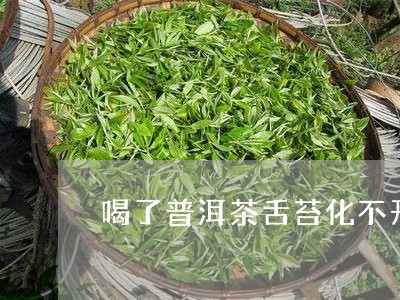 喝了普洱茶舌苔化不开/2023062513735