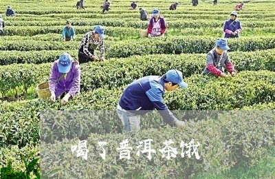 喝了普洱茶饿/2023042902690