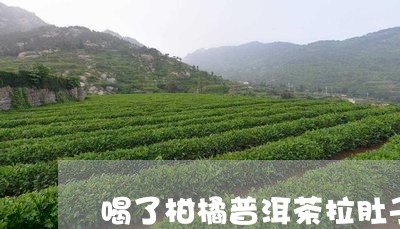 喝了柑橘普洱茶拉肚子/2023062492705