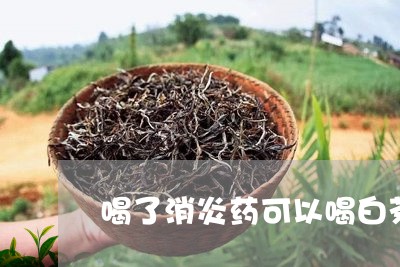 喝了消炎药可以喝白茶吗/2023101635359