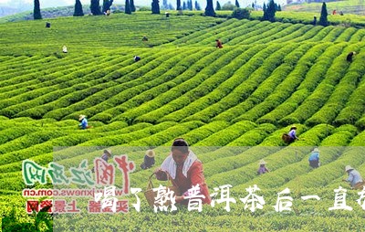 喝了熟普洱茶后一直放屁/2023110576168