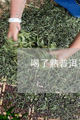 喝了熟普洱茶睡不着觉/2023072483937