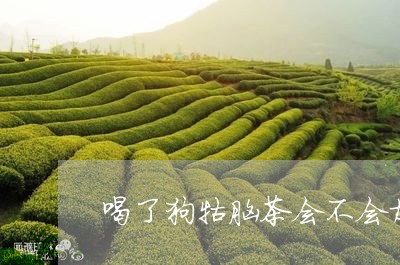 喝了狗牯脑茶会不会加重人的失眠/2023060296261