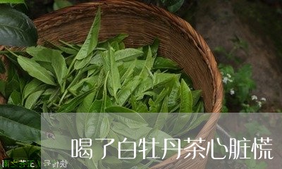 喝了白牡丹茶心脏慌/2023120585128