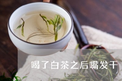 喝了白茶之后嘴发干/2023071772717