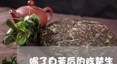 喝了白茶后的陈楚生/2023071751582