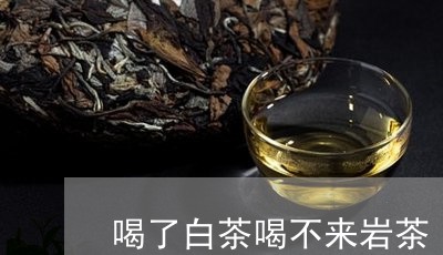 喝了白茶喝不来岩茶/2023071728470