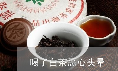 喝了白茶恶心头晕/2023061652836