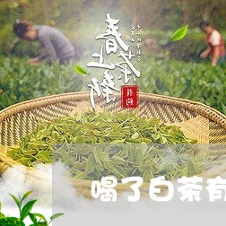 喝了白茶有没有禁忌/2023081452924