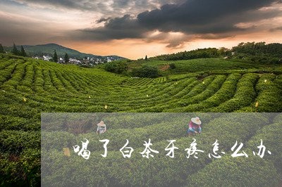 喝了白茶牙疼怎么办/2023071744039