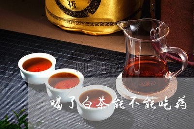 喝了白茶能不能吃药/2023071748370