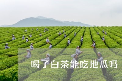 喝了白茶能吃地瓜吗/2023071743726