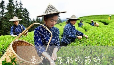 喝了白茶能吃药吗/2023061630584