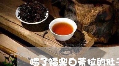 喝了福鼎白茶拉的肚子痛/2023092141598