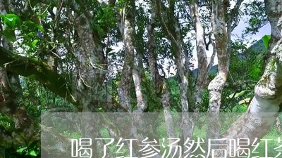 喝了红参汤然后喝红茶/2023060840483