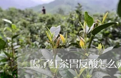 喝了红茶胃反酸怎么办/2023071445949