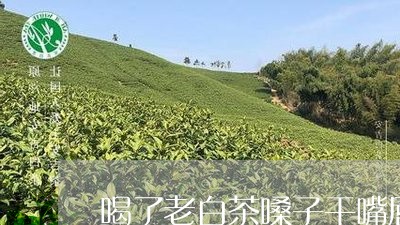 喝了老白茶嗓子干嘴唇干/2023101672937