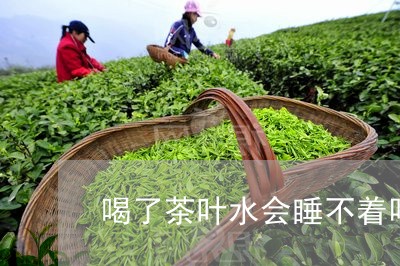 喝了茶叶水会睡不着吗/2023061189846