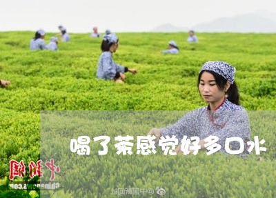 喝了茶感觉好多口水/2023042007270