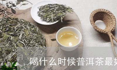 喝什么时候普洱茶最好/2023092850583