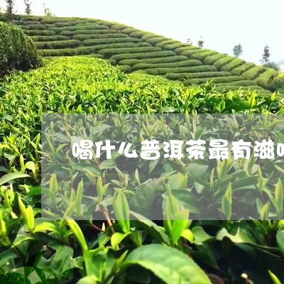 喝什么普洱茶最有滋味/2023073040481