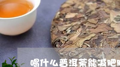 喝什么普洱茶能减肥肥/2023061946281