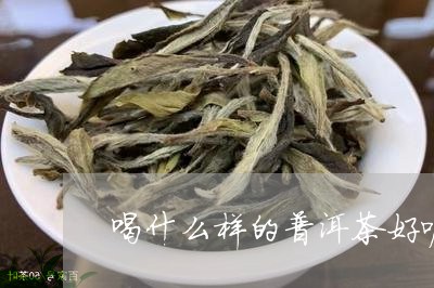 喝什么样的普洱茶好呢/2023063081603