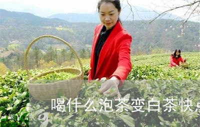 喝什么泡茶变白茶快点好/2023101643026