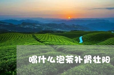 喝什么泡茶补肾壮阳/2023042256047